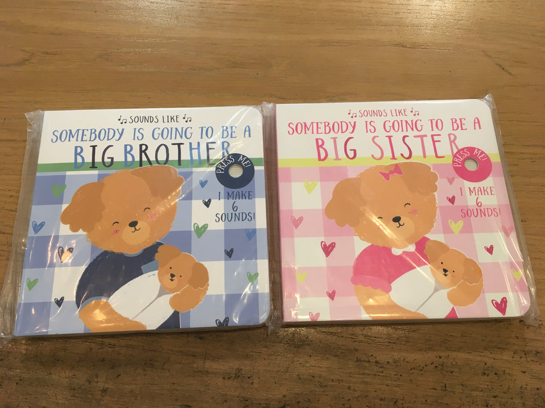 Somebody Is Going To Be A Big Brother / Sister Book