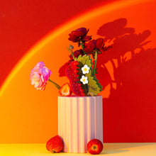 Load image into Gallery viewer, Jenny Lemons - Large Strawberries and Flowers Hair Claw Clip