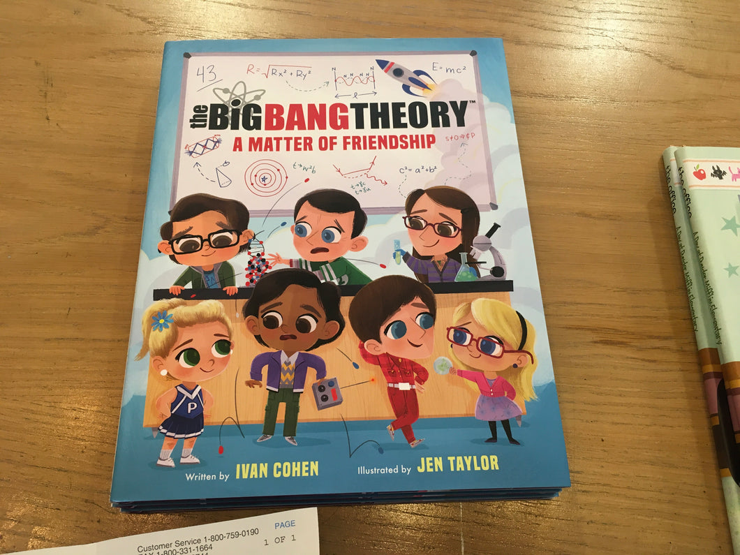The Big Bang theory a matter of friendship