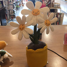 Load image into Gallery viewer, Jellycat Daisy Flower Pot
