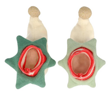 Load image into Gallery viewer, Meri Meri Elf Baby Booties
