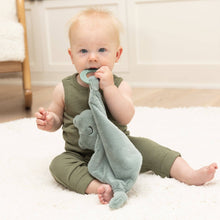 Load image into Gallery viewer, Bella Tunno - Teether Buddy Freddie the Frog