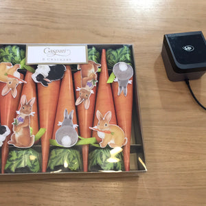 Caspari Bunnies and carrots crackers