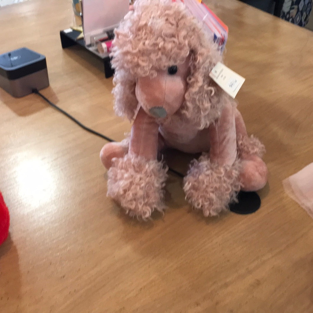 Mon ami Paris poodle