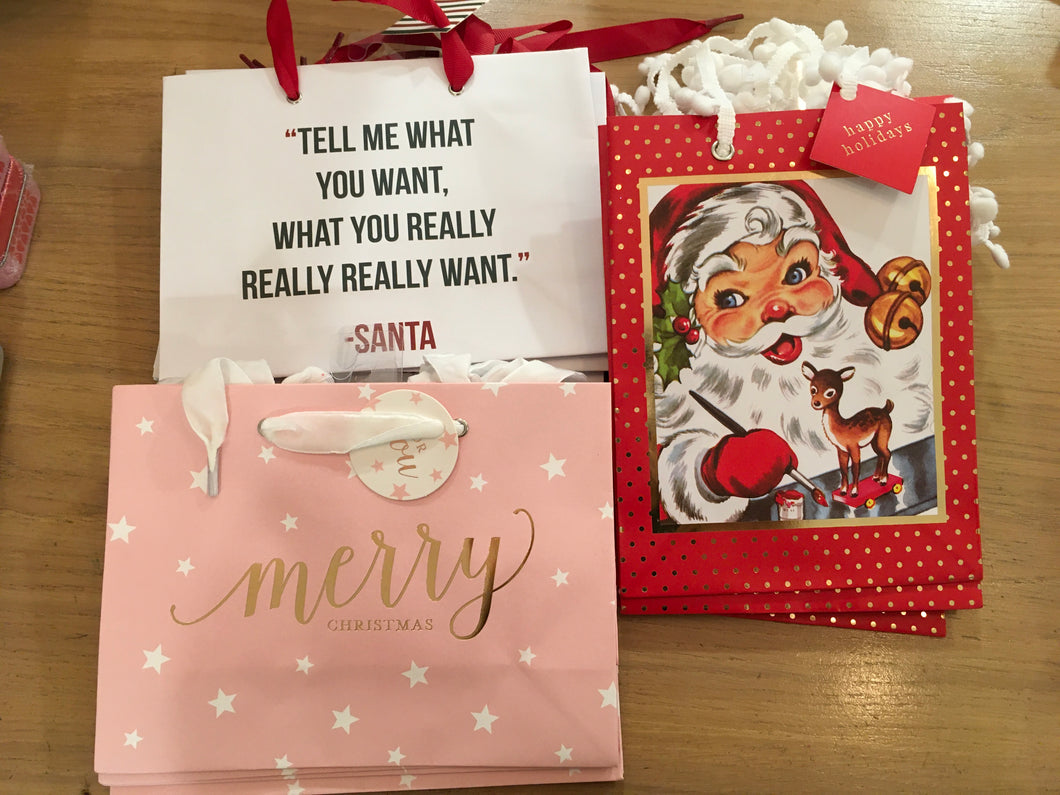 Christmas Holiday gift bag small