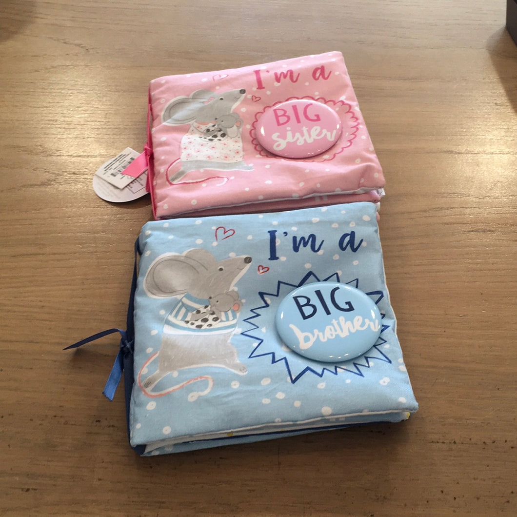 I’m a big sister / brother mudpie book